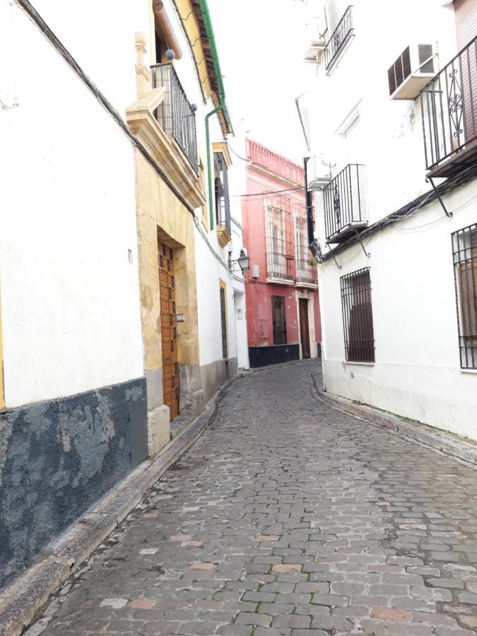 Apartamento Pleno Centro Wallada 科爾多瓦 外观 照片