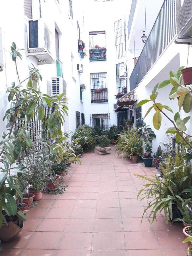 Apartamento Pleno Centro Wallada 科爾多瓦 外观 照片